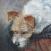 terrier oil on canvas