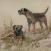 pastel portrait  border terriers